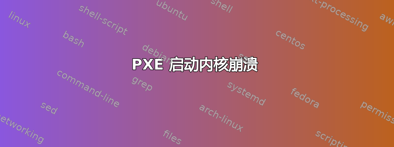 PXE 启动内核崩溃