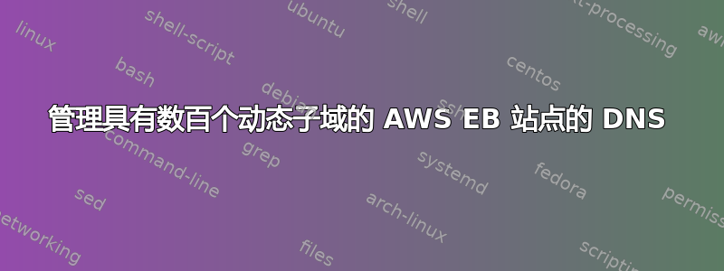 管理具有数百个动态子域的 AWS EB 站点的 DNS