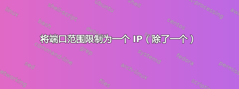 将端口范围限制为一个 IP（除了一个）