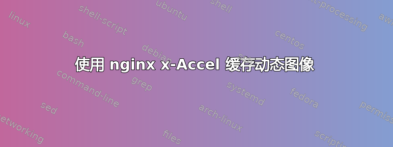 使用 nginx x-Accel 缓存动态图像