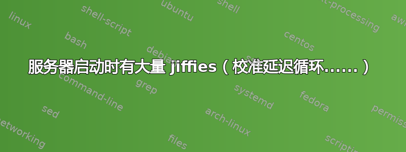 服务器启动时有大量 jiffies（校准延迟循环......）