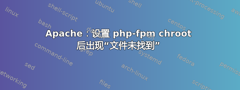 Apache：设置 php-fpm chroot 后出现“文件未找到”