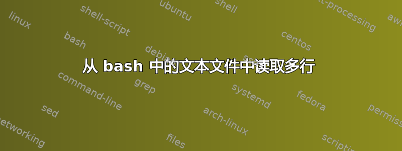 从 bash 中的文本文件中读取多行