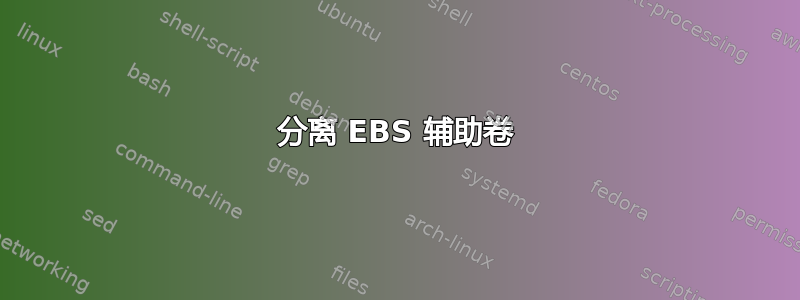 分离 EBS 辅助卷