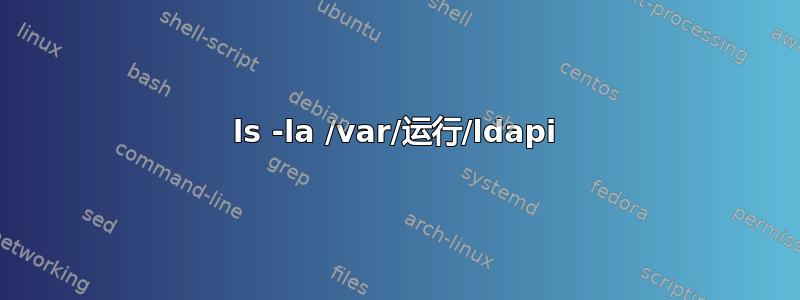 ls -la /var/运行/ldapi