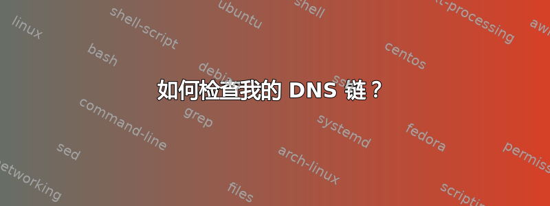 如何检查我的 DNS 链？