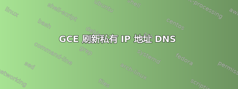 GCE 刷新私有 IP 地址 DNS