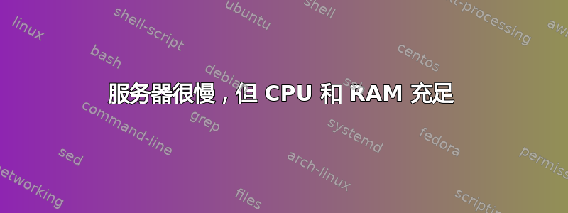 服务器很慢，但 CPU 和 RAM 充足