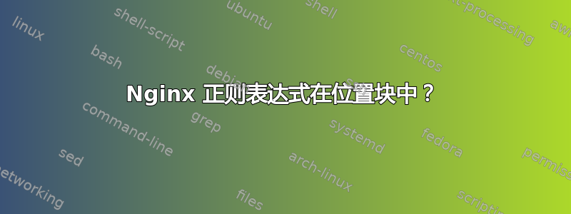 Nginx 正则表达式在位置块中？