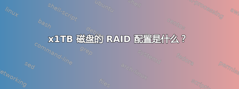 16x1TB 磁盘的 RAID 配置是什么？