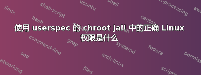 使用 userspec 的 chroot jail 中的正确 Linux 权限是什么