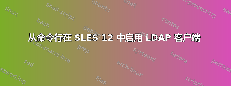 从命令行在 SLES 12 中启用 LDAP 客户端