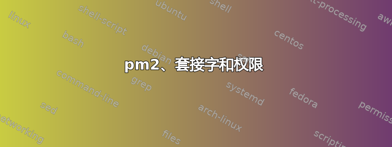 pm2、套接字和权限