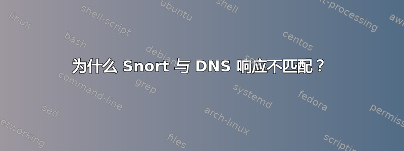 为什么 Snort 与 DNS 响应不匹配？