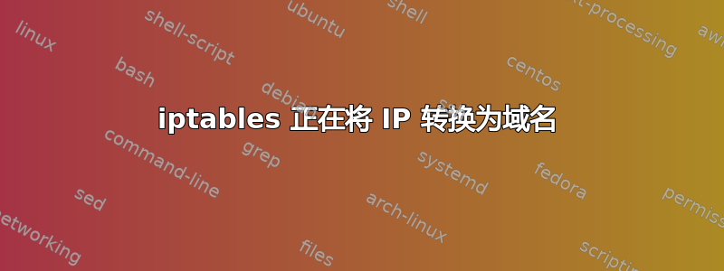 iptables 正在将 IP 转换为域名