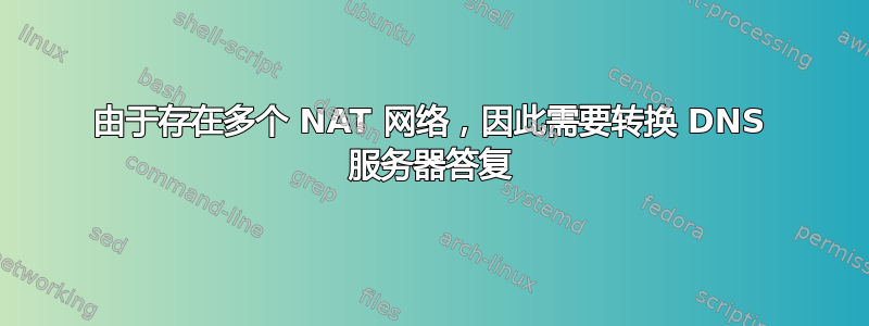 由于存在多个 NAT 网络，因此需要转换 DNS 服务器答复