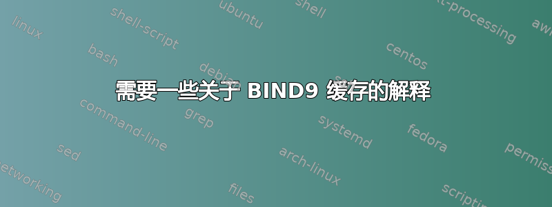 需要一些关于 BIND9 缓存的解释