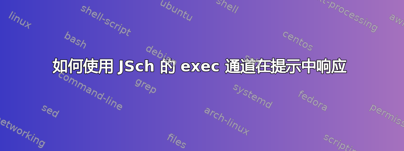 如何使用 JSch 的 exec 通道在提示中响应