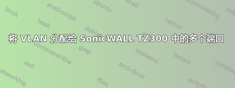 将 VLAN 分配给 SonicWALL TZ300 中的多个端口