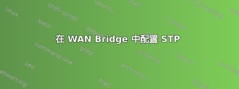 在 WAN Bridge 中配置 STP