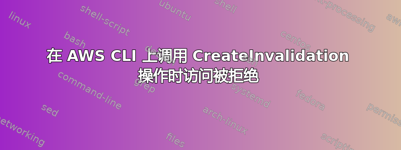 在 AWS CLI 上调用 CreateInvalidation 操作时访问被拒绝