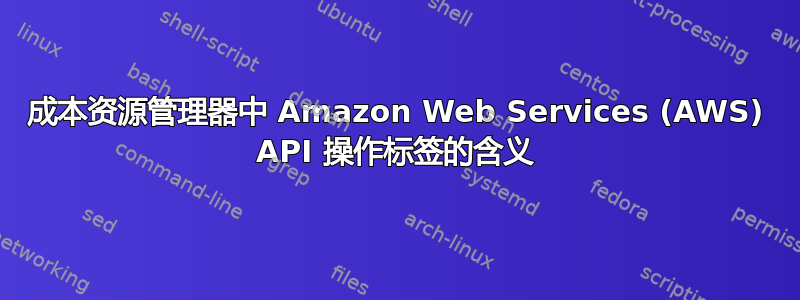 成本资源管理器中 Amazon Web Services (AWS) API 操作标签的含义