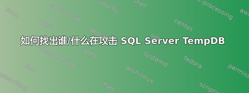 如何找出谁/什么在攻击 SQL Server TempDB