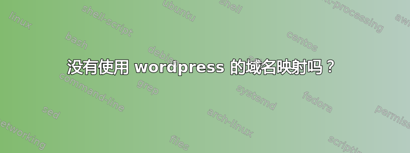 没有使用 wordpress 的域名映射吗？