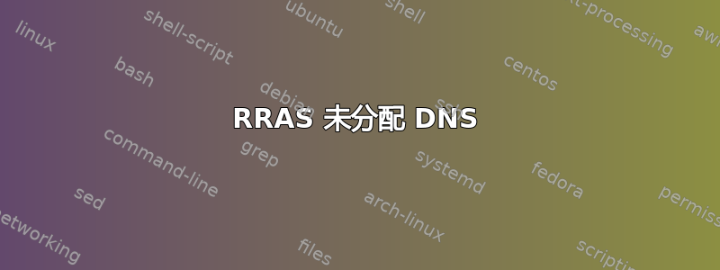 RRAS 未分配 DNS