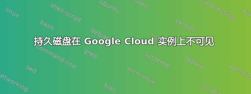 持久磁盘在 Google Cloud 实例上不可见