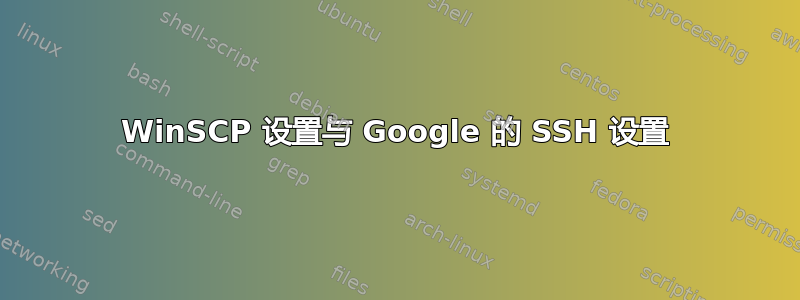 WinSCP 设置与 Google 的 SSH 设置