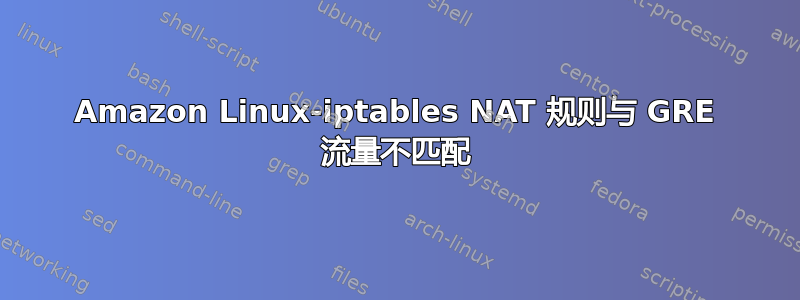 Amazon Linux-iptables NAT 规则与 GRE 流量不匹配