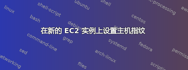 在新的 EC2 实例上设置主机指纹