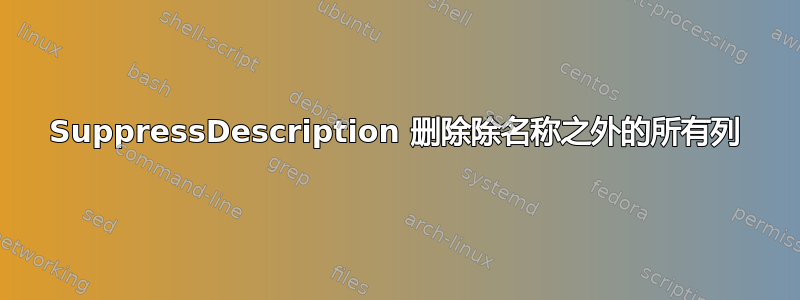 SuppressDescription 删除除名称之外的所有列