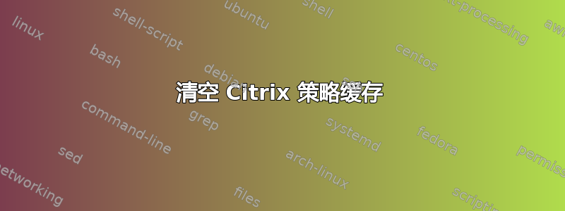 清空 Citrix 策略缓存