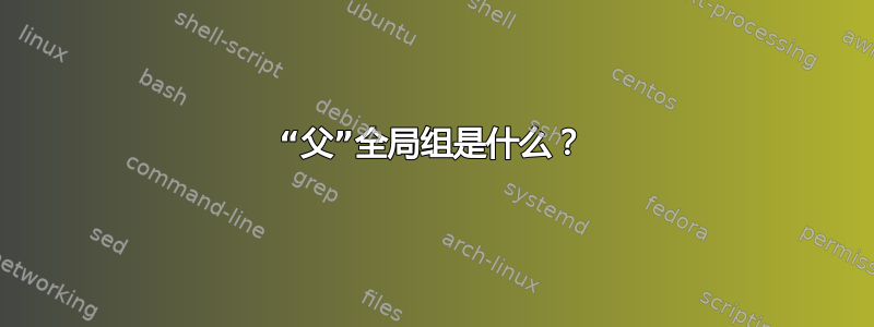 “父”全局组是什么？