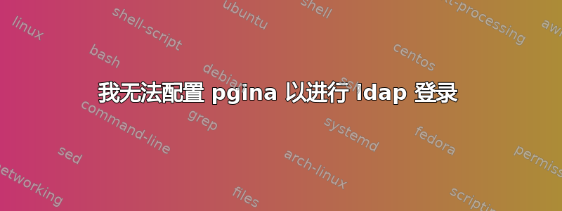 我无法配置 pgina 以进行 ldap 登录