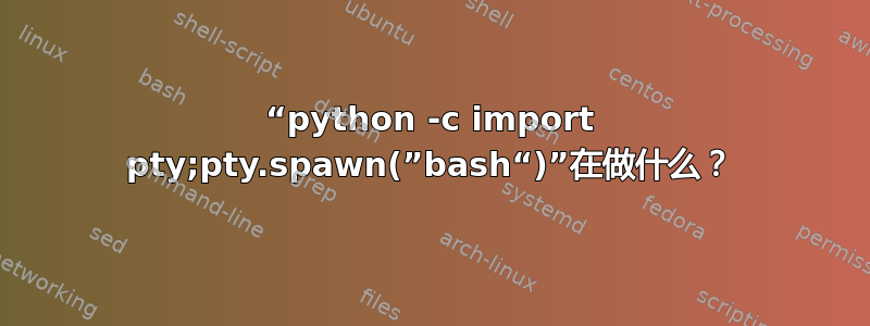 “python -c import pty;pty.spawn(”bash“)”在做什么？