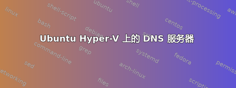 Ubuntu Hyper-V 上的 DNS 服务器