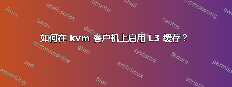 如何在 kvm 客户机上启用 L3 缓存？