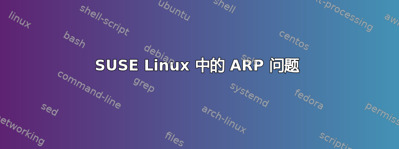 SUSE Linux 中的 ARP 问题