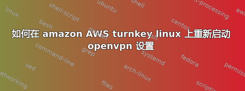 如何在 amazon AWS turnkey linux 上重新启动 openvpn 设置