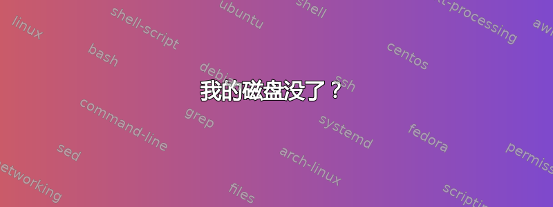 我的磁盘没了？