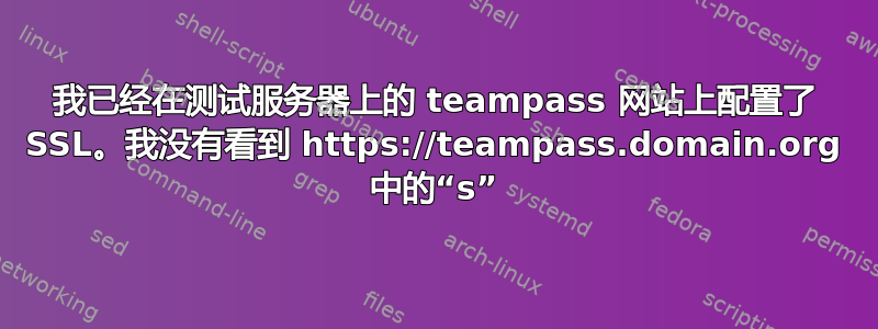 我已经在测试服务器上的 teampass 网站上配置了 SSL。我没有看到 https://teampass.domain.org 中的“s”