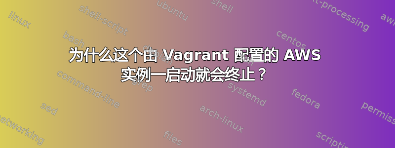 为什么这个由 Vagrant 配置的 AWS 实例一启动就会终止？