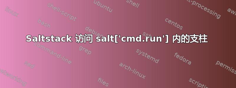 Saltstack 访问 salt['cmd.run'] 内的支柱