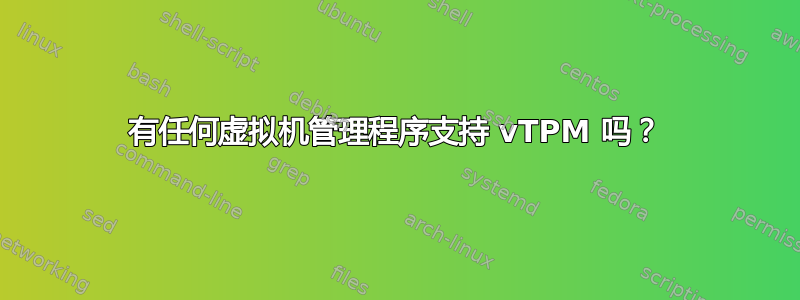 有任何虚拟机管理程序支持 vTPM 吗？