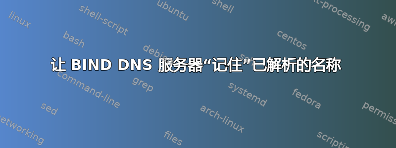 让 BIND DNS 服务器“记住”已解析的名称