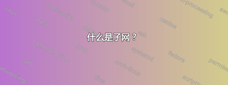 什么是子网？