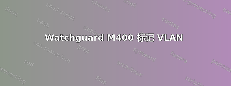 Watchguard M400 标记 VLAN